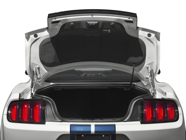 2016 Ford Mustang Shelby GT350